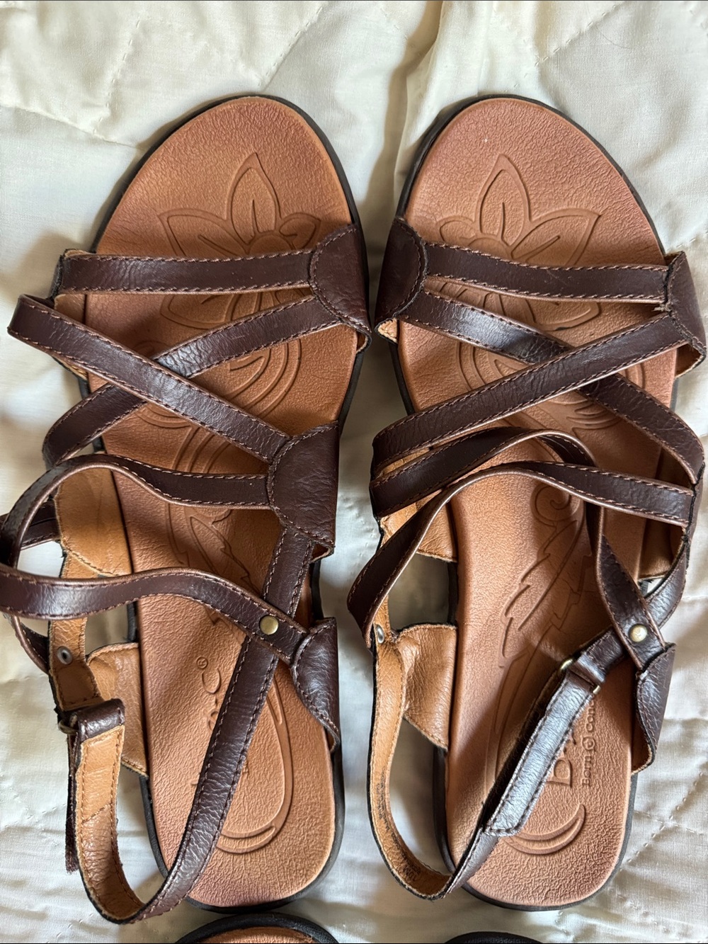 b.o.c. Strappy Crisscross Leather Sandals in Brown and Black - Picture 3 of 5